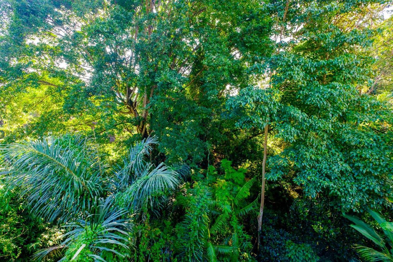 Bali Ubud Harmony Εξωτερικό φωτογραφία